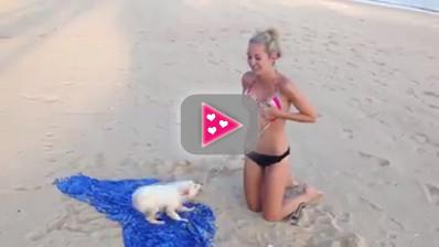 Dit hondje houdt niet van bikini's